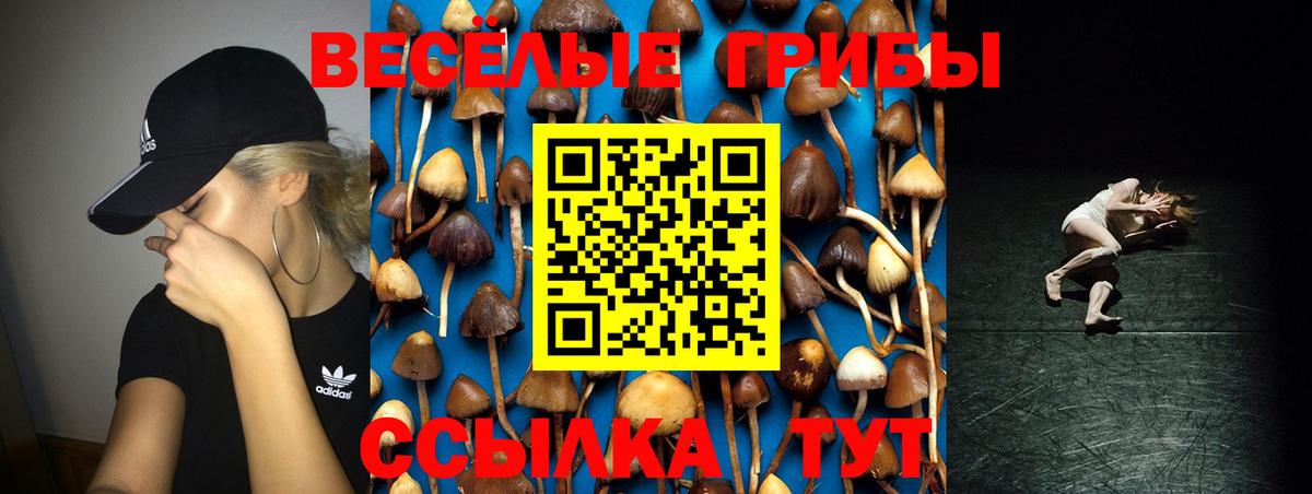 Галлюциногенные грибы GOLDEN TEACHER  продажа наркотиков  Выкса  Вход с VPN 